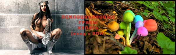 прущие грибы Алексеевка