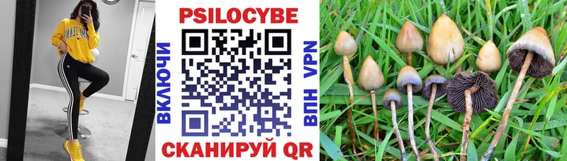 Галлюциногенные грибы Magic Shrooms  omg как зайти  Абаза 